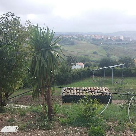 Le Querce Bed & Breakfast Ancona Eksteriør bilde