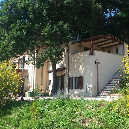 Le Querce Bed & Breakfast Ancona Eksteriør bilde